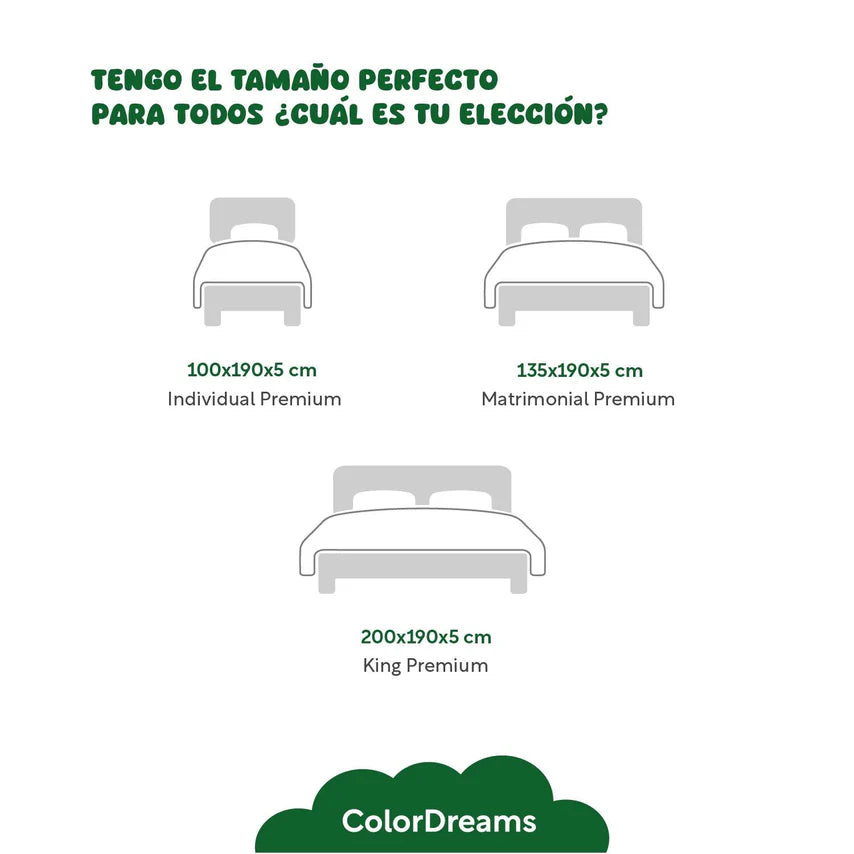 Colchoneta Cubre Colchon Matrimonial Memory Foam Colordream