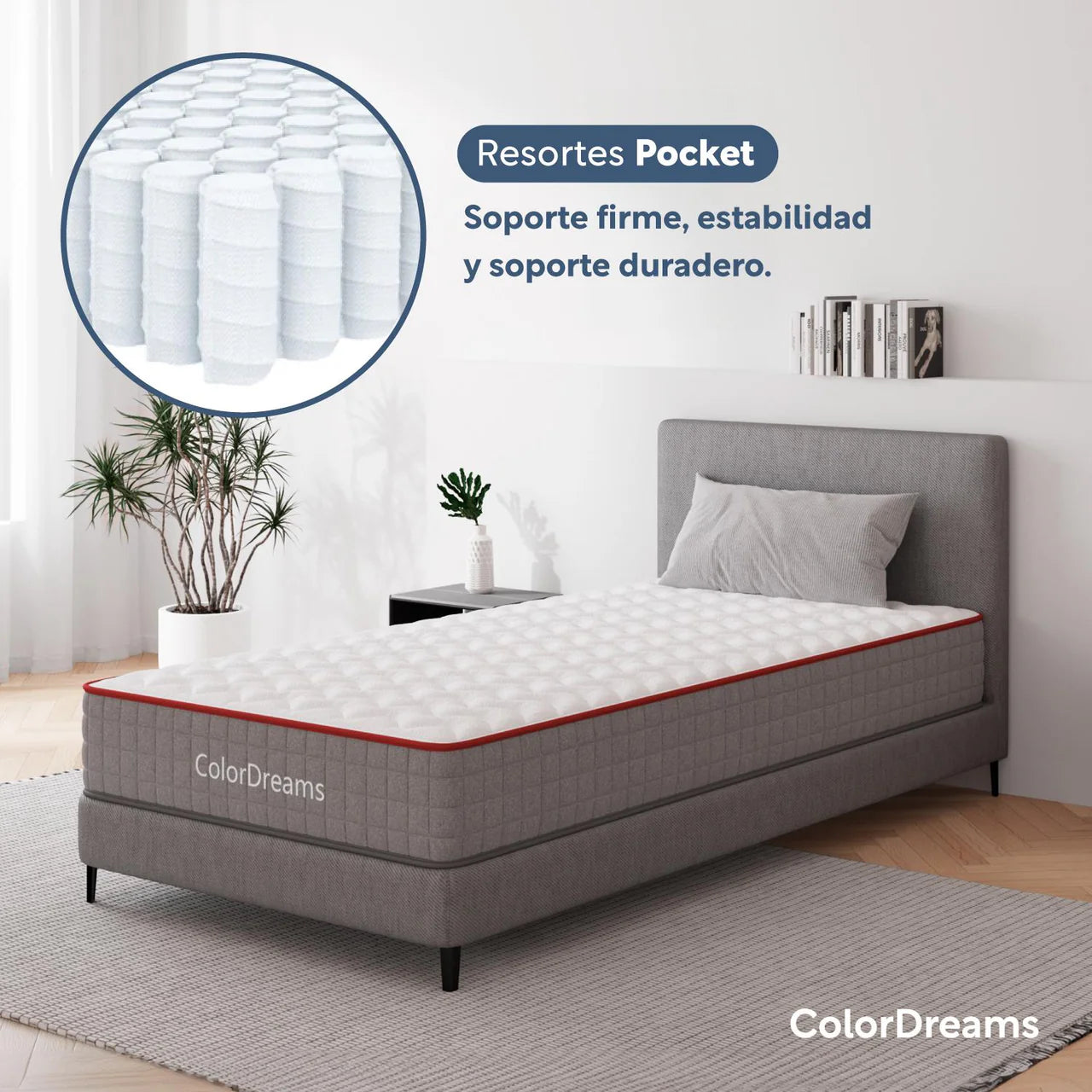 Colchon Individual ColorDreams resortes 20cm pocket coil Spring Series Color