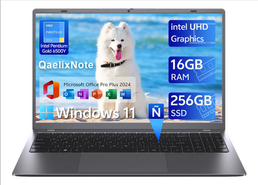 Laptop Intel Pentium Gold 6500Y, 16 GB RAM y 256 GB SSD, 15.6″ Full HD y Windows 11 Pro