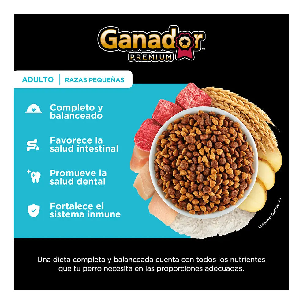 Ganador Premium Croqueta para perro raza pequeña de 20kg