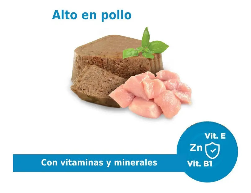 Nupec Latas Cachorro Alimento Húmedo 16 unidades 100gr C/u