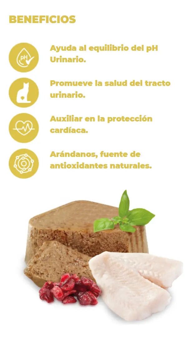 Nupec Lata Urinary Gato Húmedo Pescado 16 Latas